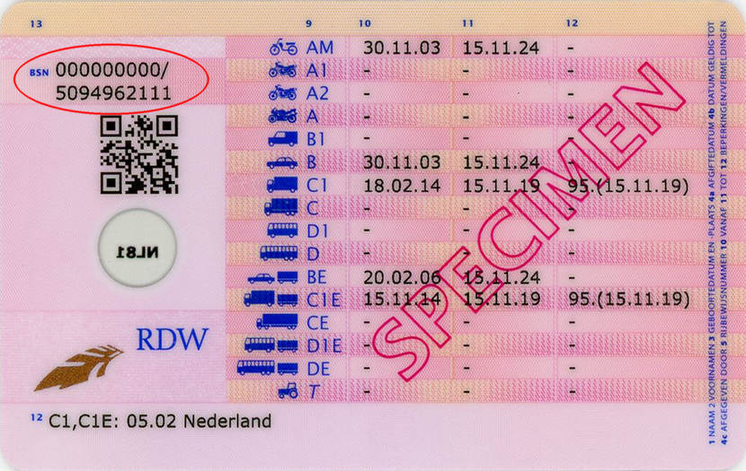 Back of Dutch driver's license