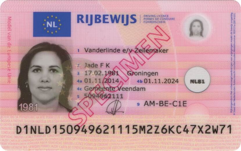 Front of Dutch driver's license